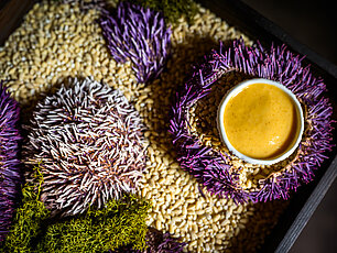 Sea urchins on grain bed with yellow sauce in small white bowl