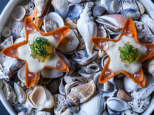 Sterneförmige Gourmet-Vorspeisen mit Creme und Garnitur auf Muscheln angerichtet
