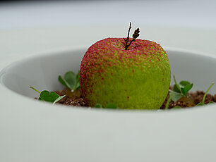 Green and red apple-shaped dessert in a white dish, with small green leaves